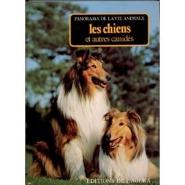 L&rsquo;AGORA : Les chiens et autres canidés