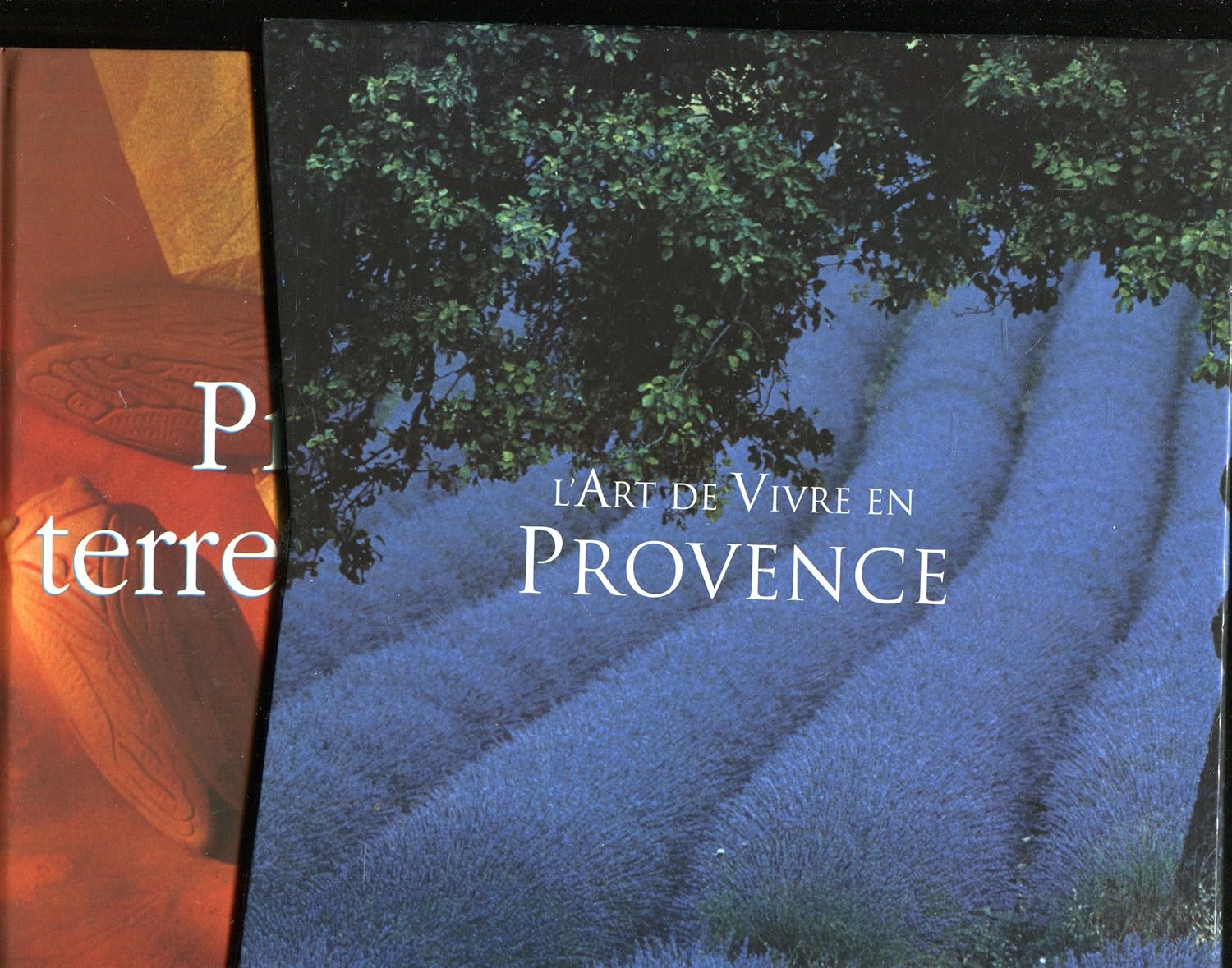 Sylvie GIRARD-LAGORCE : L&rsquo;art de vivre en Provence T1: Traditions provençales T2: Provence terre de soleil
