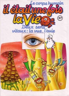 Albert BARILLÉ : Il était une fois la vie 37 Deux sens vitaux : la vue, l&rsquo;ouïe