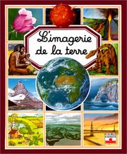 Émilie BEAUMONT : L&rsquo;imagerie de la terre