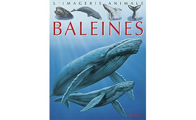 Agnès VANDEWIELE : Les baleines