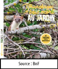 Gilles LEBLAIS : Branchages et bois morts au jardin