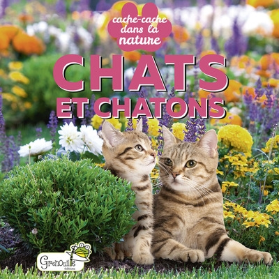 YSÉ : CHATS ET CHATONS