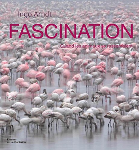 Claus-Peter LIECKFELD : Fascination