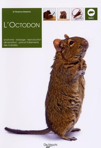 Florence DESACHY : L&rsquo;octodon