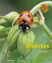 Lucas BALITEAU : Les insectes