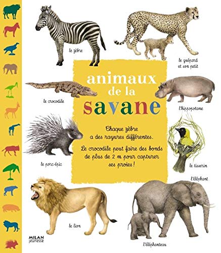 Christian HAVARD : Les animaux de la savane