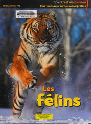 Stéphane FRATTINI : Les félins
