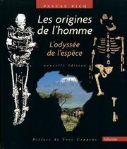 Pascal PICQ : Les origines de l&rsquo;homme