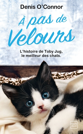 Denis O&rsquo;CONNOR : A pas de velours