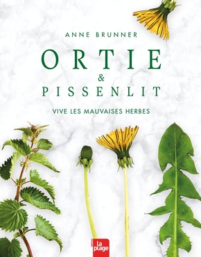Anne BRUNNER : Ortie et pissenlit